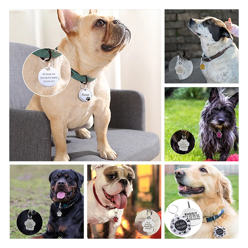 Targhetta Personalizzata Per Cani Targhetta Personalizzata Per Cane O Gatto – In Acciaio, Con Nome E Telefono Incisi Collana Con Nome - Foto 10