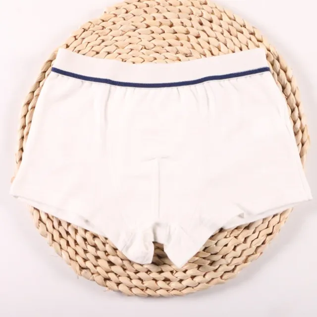 2 Pcs/Lot Boys Underwear Pure Color Kids Shorts Panties Cotton Baby Children Boxer for Teenager Underpants 2-10Y 4
