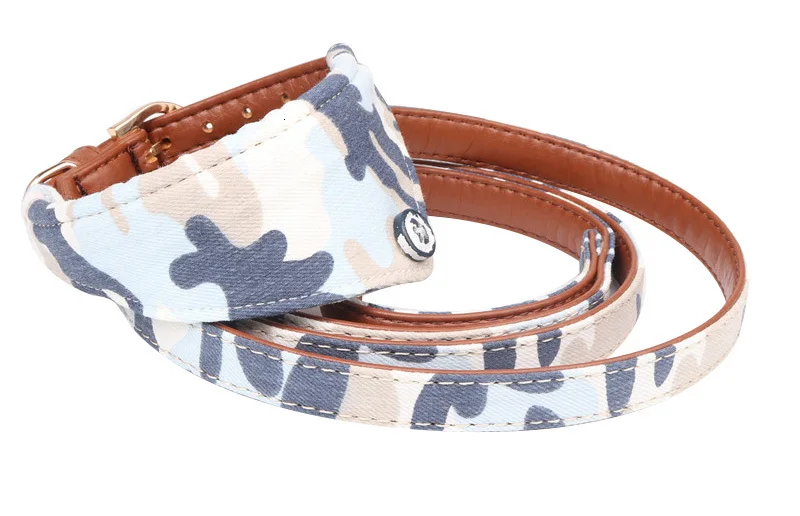dog leash