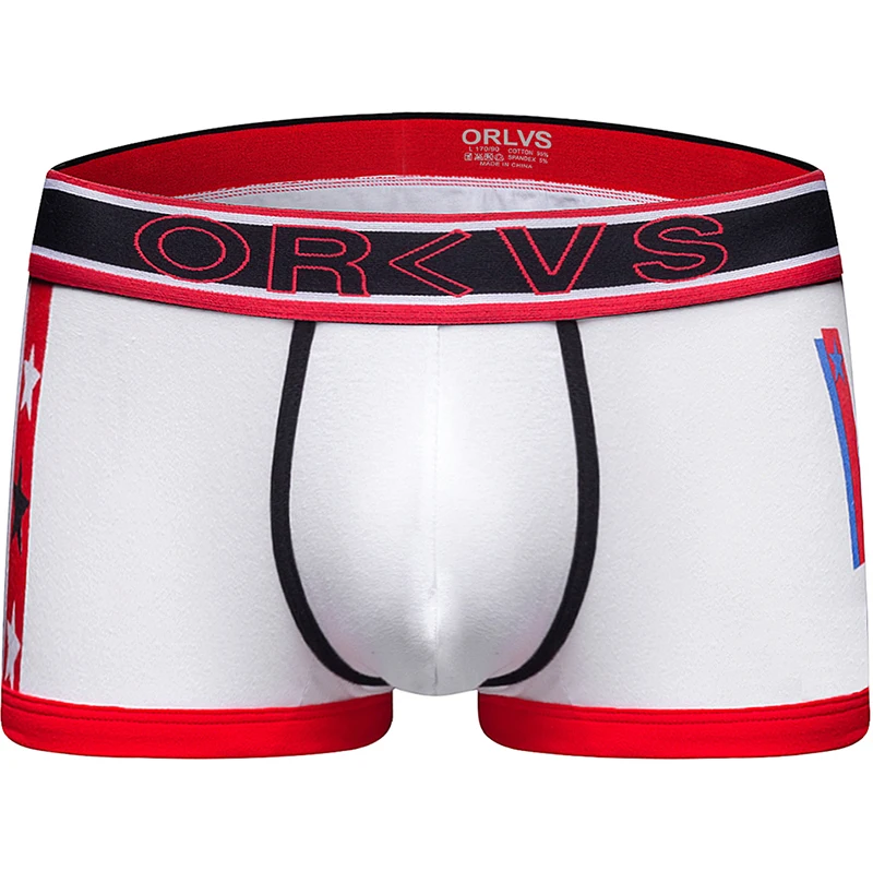 ORLVS Brand boxer men underwear gay boxer shorts ropa interior hombre cueca tanga calzoncillo hombre boxer para hombre mesh - Цвет: OR93-white