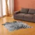 Imitation Animal Skin Carpet Non-slip Cow Zebra Striped Area Rugs and Carpets For Home Living Room Bedroom Floor Mat 8