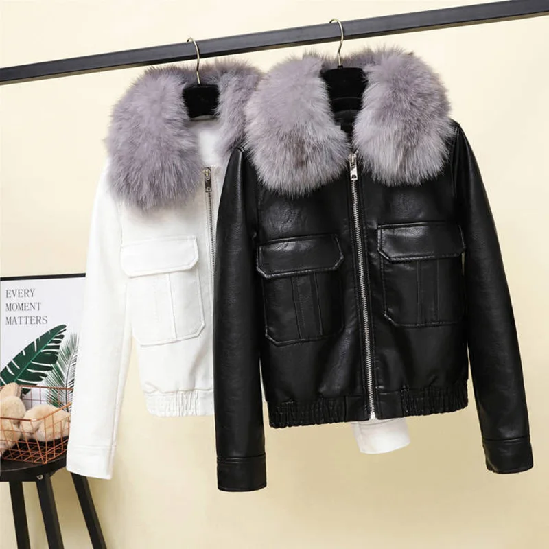 6ded141d-19a2-4936-bd46-beb78352b84b