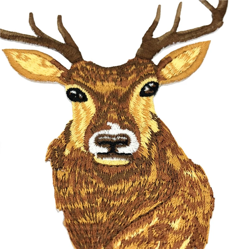 11437391755_892375017