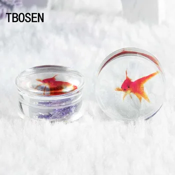

Transparent Acylic Ear Piercing PLugs Goldfish Logo Simple Earring Tunnels Fashion Style Jewellery Body Gift With High Quality