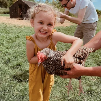 

2020 New Summer Solid Sleeveless Rompers Newborn Infant Baby Girl Outfit Romper Jumpsuit Bebe Kids Ropa Casual Clothes