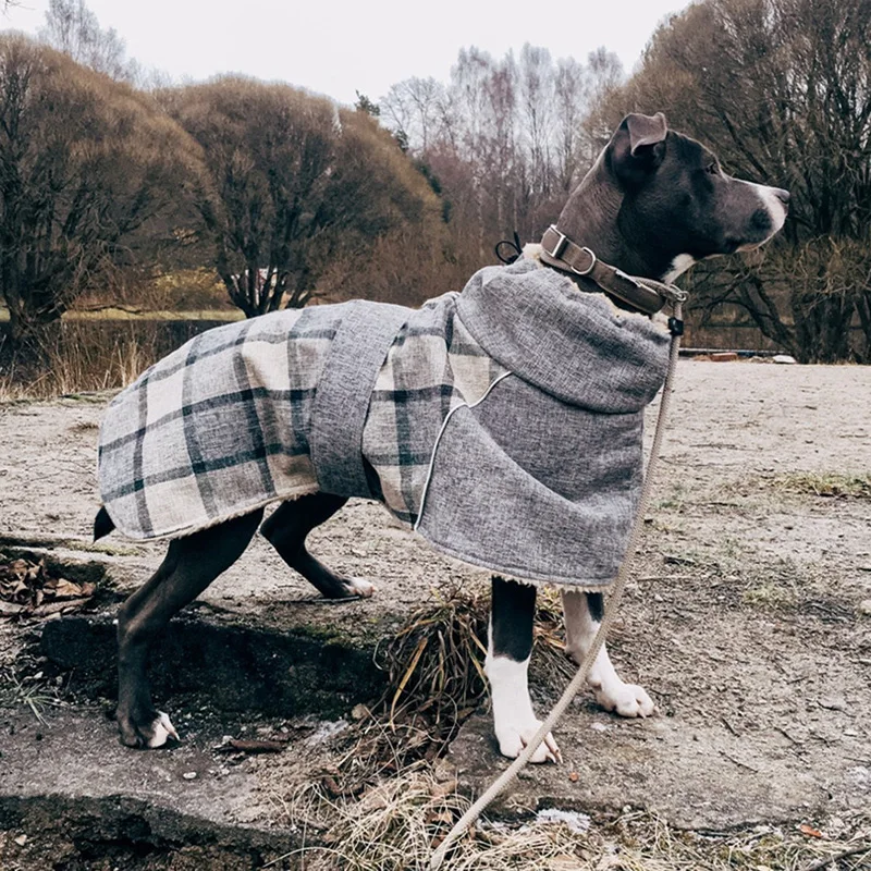 casacos e jaquetas para cães