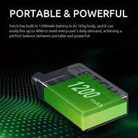 Electronic Cigarettes