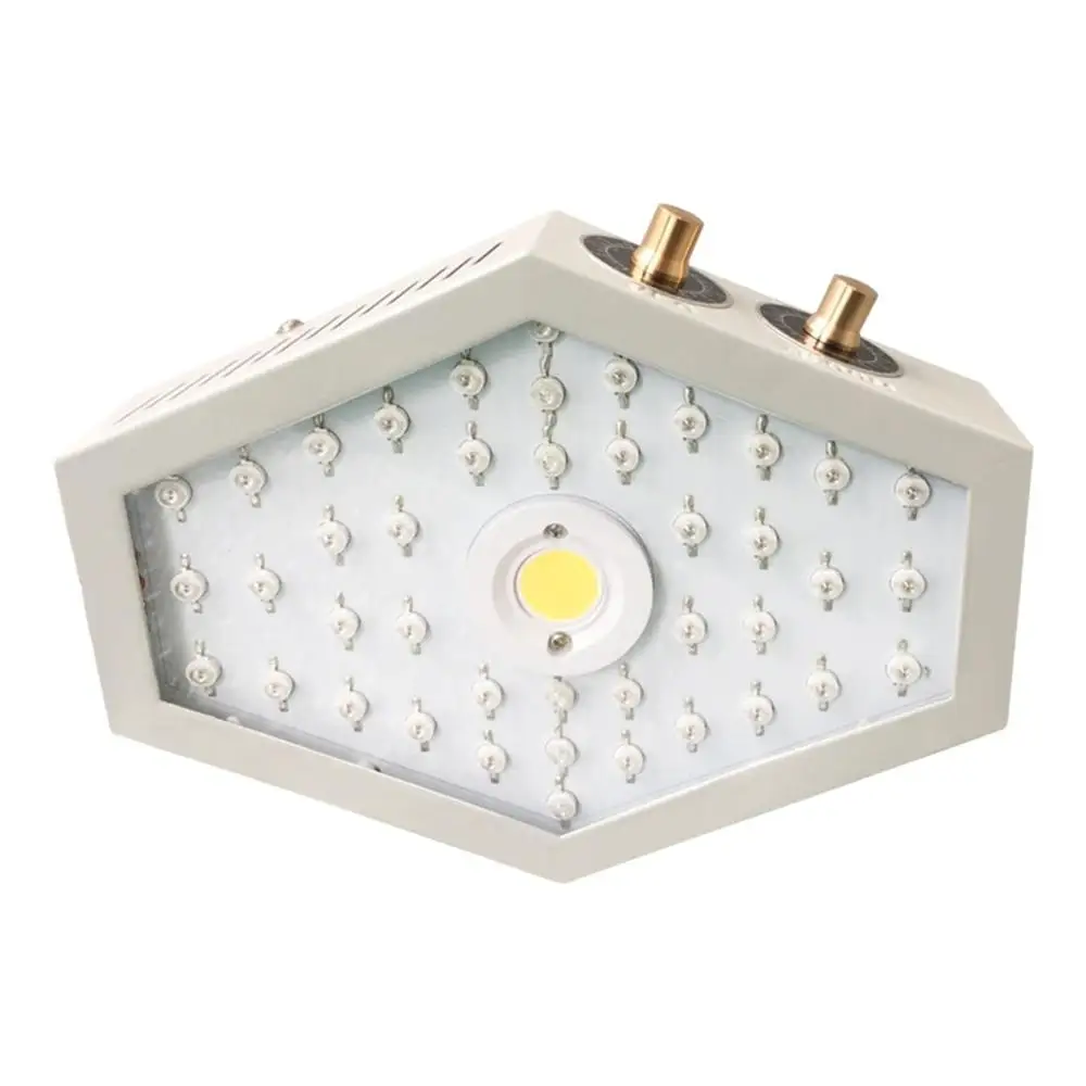 

Plants LED Grow Light Full Spectrum 1000W Double Chip Red/Blue/UV/IR Lateral Angle Light For Indoor Plants VEG BLOOM