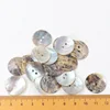50PCS 20/18/15/12/10mm Natural Shell Sewing Buttons Color Japan Mother of Pearl MOP Round Shell 2 Hole Button Sewing Accessories 1