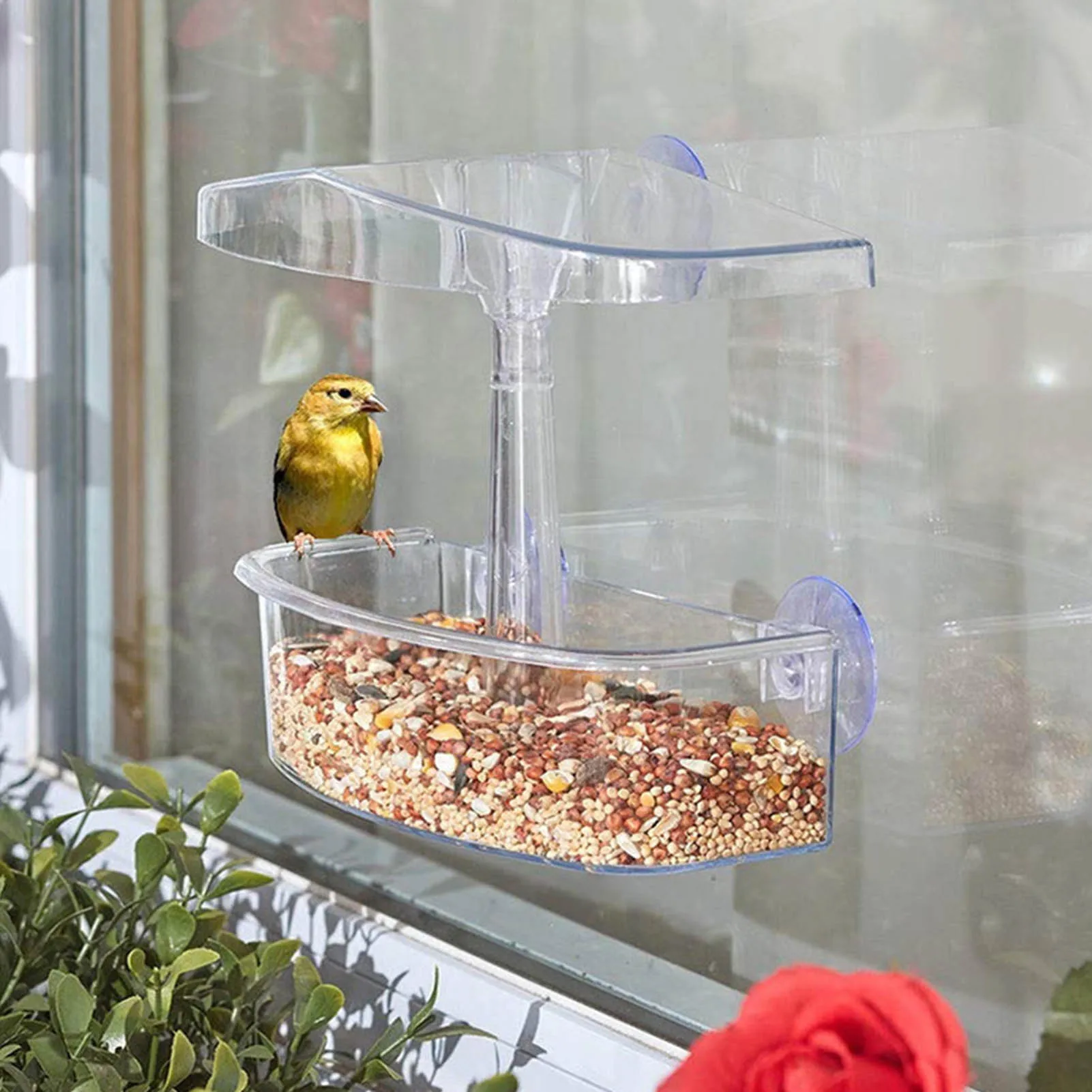 Bird Feeder Transparent Window Viewing Bird Feeders Tray Birdhouse Pet Water Feeder Suction Cup Mount House Type