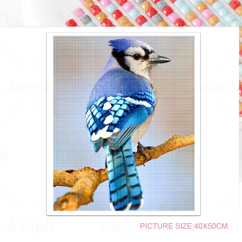 Blue Bird Jays 5D Diy Full Square and Round Diamond Painting Embroidery Cross Stitch Kit Wall Art Pet Store Home Decoration