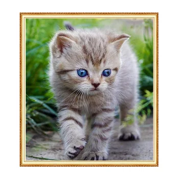 

Meian Cat Turtle full square diamond 5D DIY Diamond art 3D Diamond painting Kit cross stitch diamond mosaic photo home decor