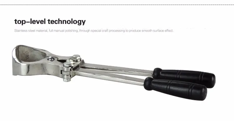 HTB1ZNGNKVXXXXagXFXXq6xXFXXXC