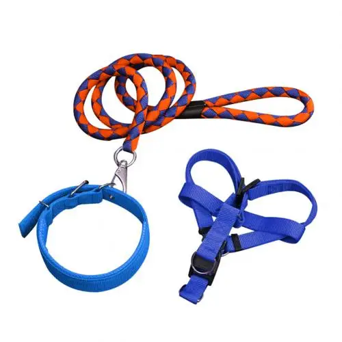 Blue Orange 3 шт./компл. поводок для собак жгут поводок с ошейником для прогулочные товары для щенков питомцев - Цвет: Blue Orange