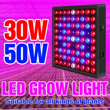 

LED Phyto Lamp EU US UK Plug Indoor Seed Grow Light LED Full Spectrum Hydroponics Plant Light 30W 50W Seedling Fito Lampara 220V