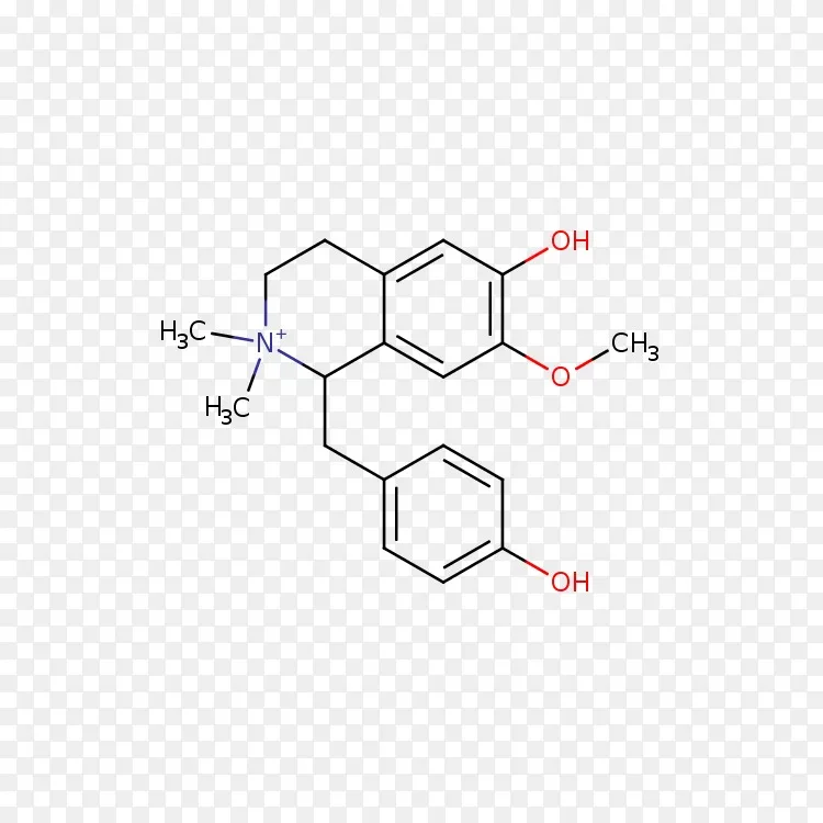 奥胡斯大学医药化学反应中间体png图片素材免费下载 图片编号3032495 Png素材网