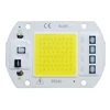 Chip de lámpara LED COB CA 220V bombilla LED 10W 20W 30W 50W IP65 de alta potencia inteligente IC DIY, foco de luz de inundación, lámpara de Chip para exteriores ► Foto 1/5