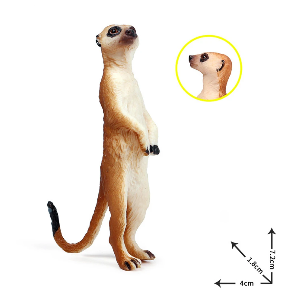 Meerkat Personalised Jumbo Magnet