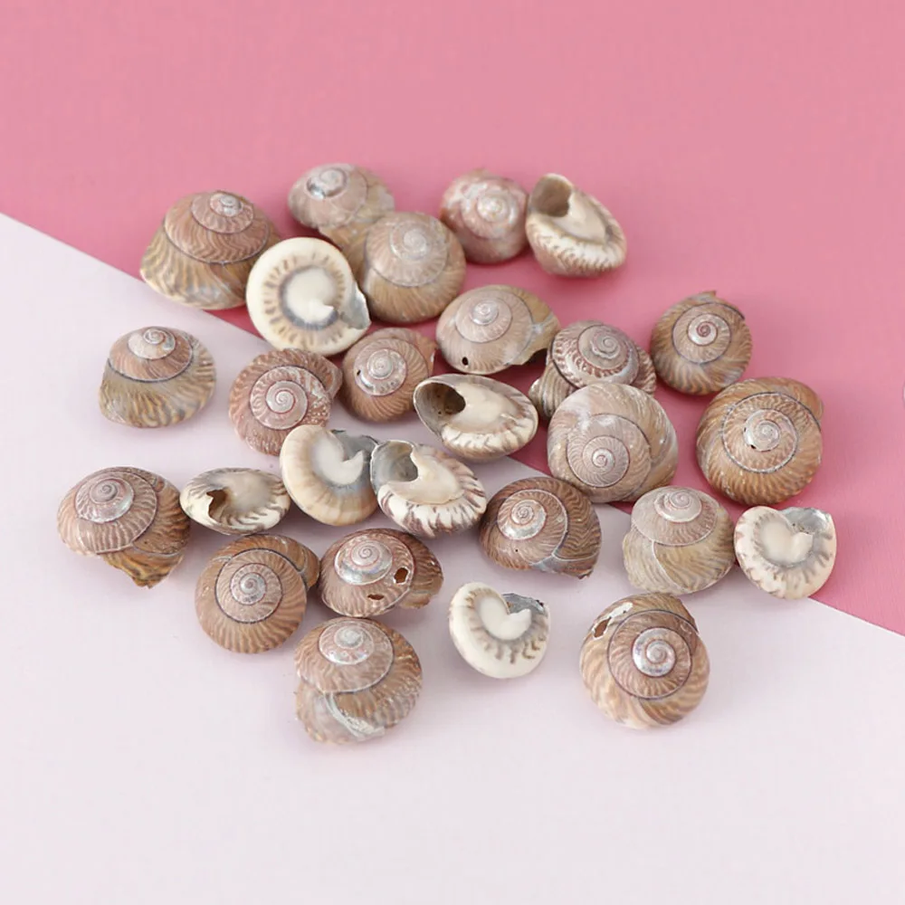 1 Box Pattern 4 Styles Nature Beach Fashion Sea Shells For DIY Caft Decor Jewelery Craft Accessories Holes Shell Decoration