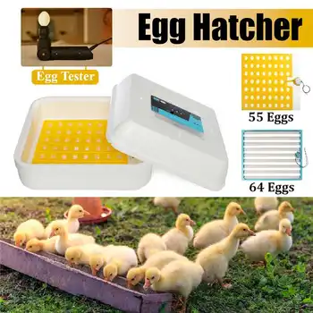 

Eggs Automatic Incubator 55/64 Position 50W LED Egg Incubator Poultry Hatcher Fully Automatic Home Hatching Machine12V/110-240V