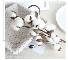 Special Price 9 heads dried cotton stems natural artificial flower decorative Wedding home party living room long branch Special Price 9 heads dried cotton stems natural artificial flower decorative Wedding home party living room long branch