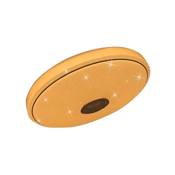 

Modern LED Panel Light Round Simple Night Lamp APP and Remote Control Music Light for Dining Room Balcony Bedroom without Batter