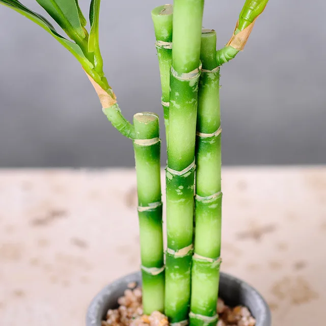 45cm 6fork Artificial Bamboo Tropical large Plant Bonsai Fake Maranta Tree Real Touch Plastic Palm Leaves Potted Home Decoration 45cm 6fork Artificial Bamboo Tropical large Plant Bonsai Fake Maranta Tree Real Touch Plastic Palm Leaves Potted Home Decoration
