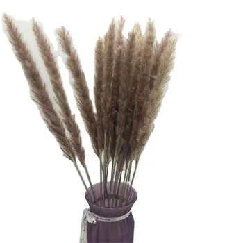 

15pcs/lot Natural Dried Small Pampas Grass Phragmites Artificial Plants Bulrush Wedding Flower for Home Party Decor