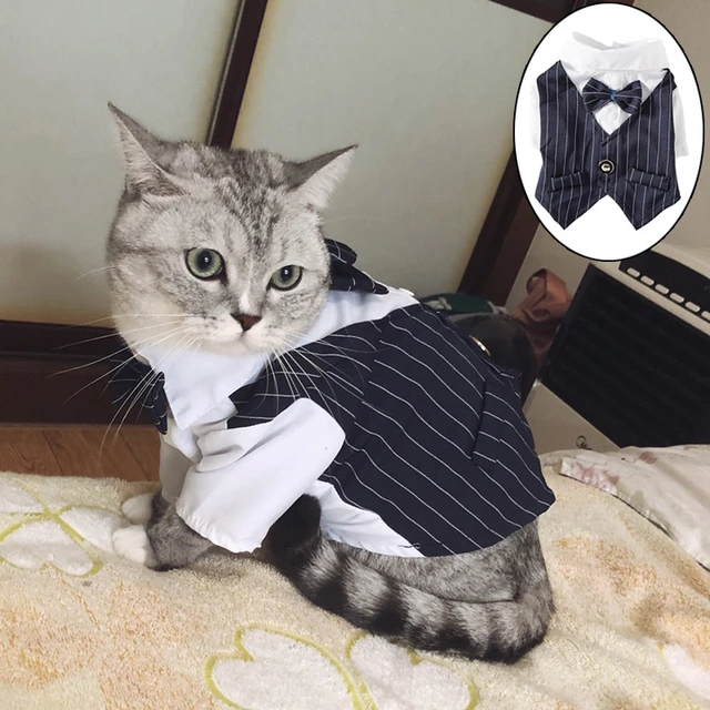 Düğün parti erkek Pet smokin takım Cats nx Kedi giysileri kediler için  Gotas mascotas kostüm Katten Kedi gömlek Reunion köpek giyim - AliExpress