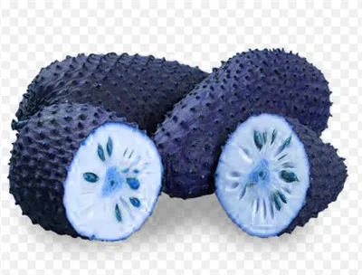 20 шт. Soursop бонсай фрукты, Graviola Annona муриката сладкий СОП вкусные фрукты бонсай сахар яблоко Annona дерево растение в бонсай - Цвет: 18