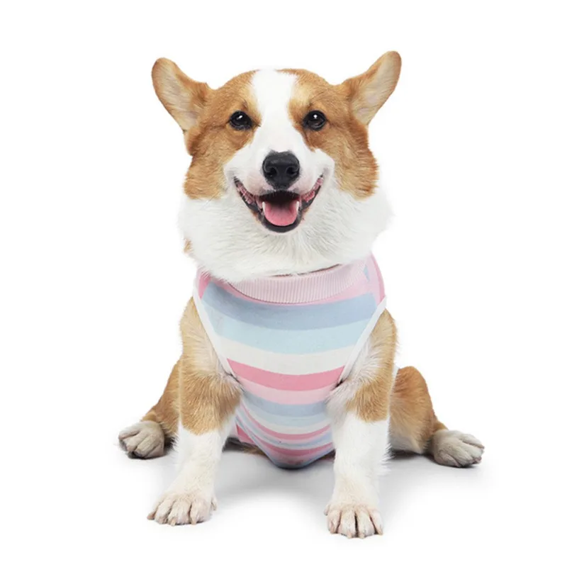 

Pet Dogs Maintain Clothes Operation Recovery Surgery Suit Anti Licking Wounds After Surgery Four-legged Jumpsuit Hot Sell