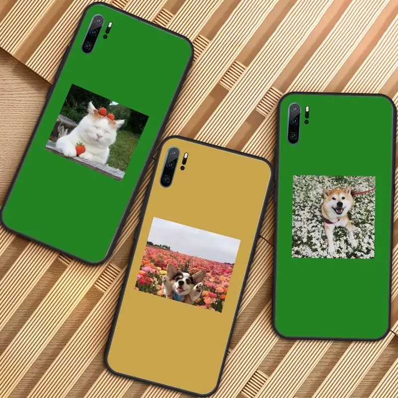 

Cute animal cat dog Phone Case For Huawei honor Mate P 9 10 20 30 40 Pro 10i 7 8 a x Lite nova 5t