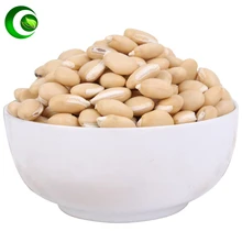 

White Lablab Bean/bean of White Hyacinth Dolichos/Semen Lablab Album/Semen Dolichoris/White Hyacinth Bean