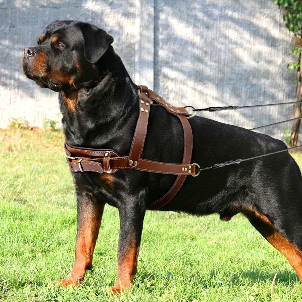 Кожаный жилет портупея для домашних питомцев K9 Pitbull Big Dog Регулируемый средних и