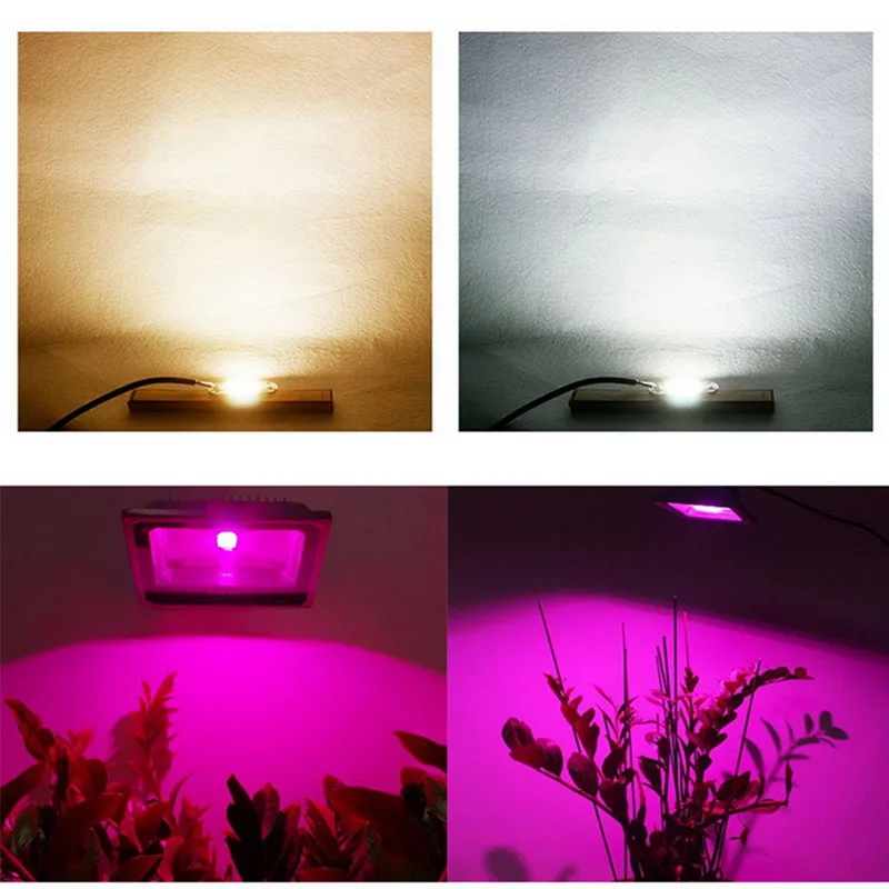 LED Grow COB Chip Phyto Lamp полный спектр AC220V 10 Вт 20 30 50 для комнатного выращивания растений и