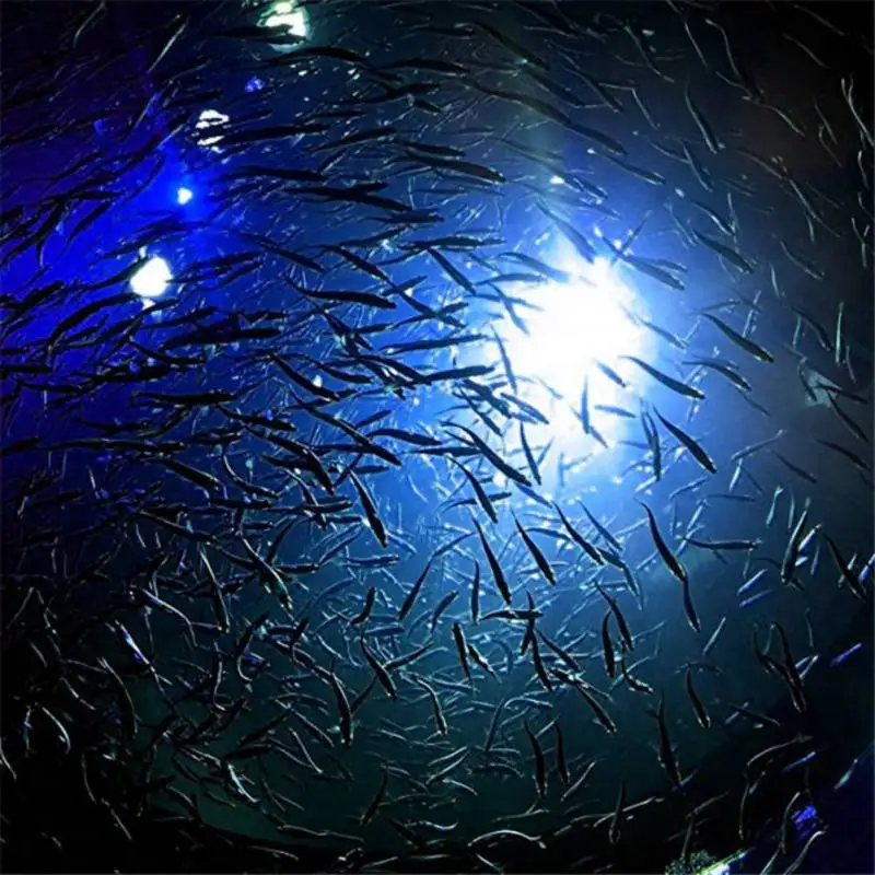 

5 Color Underwater Mini electronic fishing light Fish Attraction Lamp Lure LED Flashing Fishing Light Squid Bait Lures New
