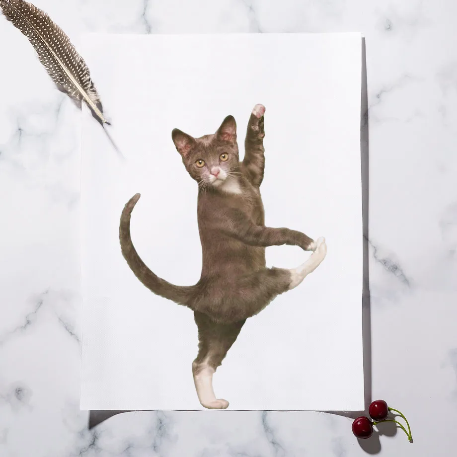 Wall-Art-Canvas-Painting-Funny-Cat-Gymnastics-Kitty-Nordic-Posters-And-Prints-Wall-Pictures-For-Living (2)
