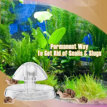 

Snail Trap Catcher Aquarium Fish Plant Tank Plastic Pest Catch Planarian Leech Tools Environment Clear Cleaner Box Plants N4S3