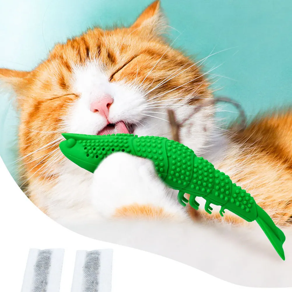 cat toothbrush toy