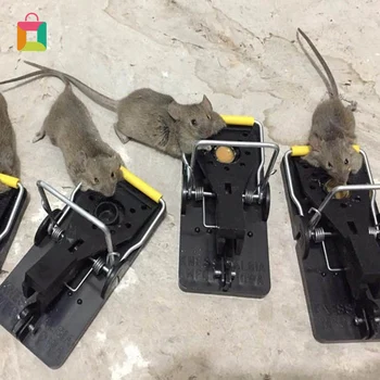 

10Pcs Mouse Trap Professional Rat Trap Effective Mouse Traps Snap Trap Rodent Control Mouse Catcher Cozy