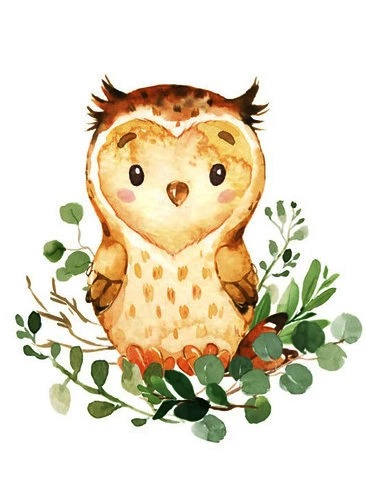 5D DIY Full Diamond Embroidery Animals Owl Fox Panda Raccoon 5D Diamond PaintingCross Stitch Mosaic Cartoon Home Decoration Gift 12