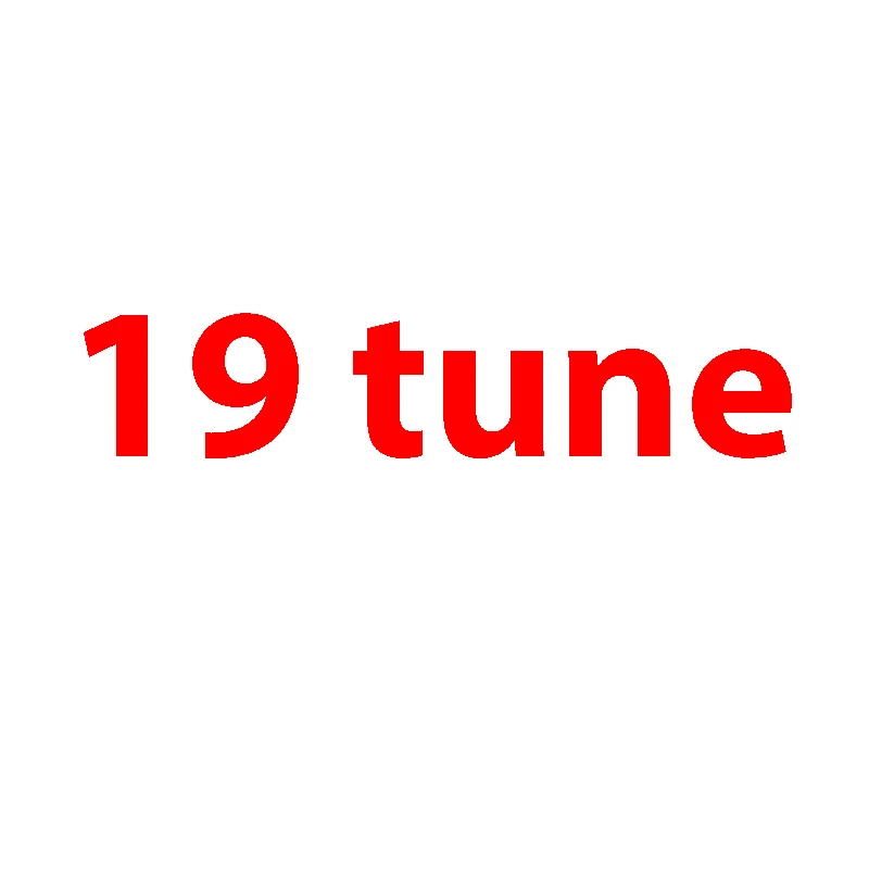 19t