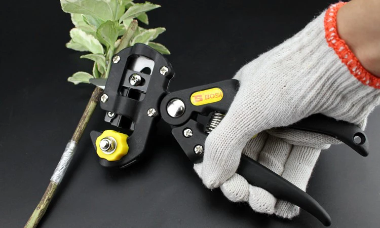 TB28R3TI4SYBuNjSspjXXX73VXa_!!201926336