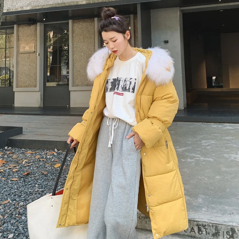 

2019 Autumn And Winter off Season Sale Hot Selling down Cotton Women's Loose-Fit Fashion Korean-style Mid-length Special Offer F