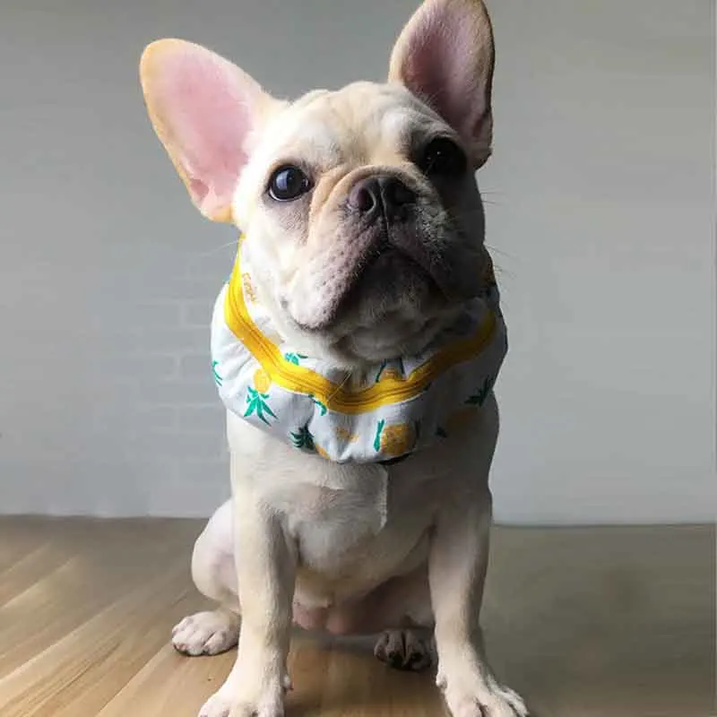 Pet Summer French Bulldog Cold Bib Bago Cold Bib Fat Dog Summer Cooling Ice Bib Ice Towel Anti Heatstroke Collars Aliexpress