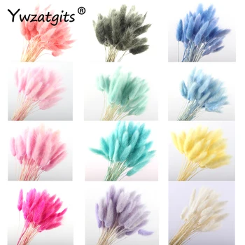 

ywzatgits 30Pcs/lot 30-50cm Natural Dried Flowers Bouquet Wedding Home Easter Decorations Rabbit Tail Grass Real Flowers YB1405