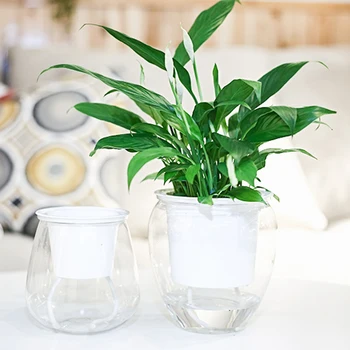 

Automatic Watering Flower Pots Transparent Water Storage Plastic Flowerpot for Succulent Plants Herbs African Violets Flowers