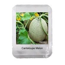 20 шт. экстра-Большой Экстра-сладкий канталупа бонсай, профессиональный пакет, фрукты и овощи горшки для балкона Хами Дыня сад,# HMG0