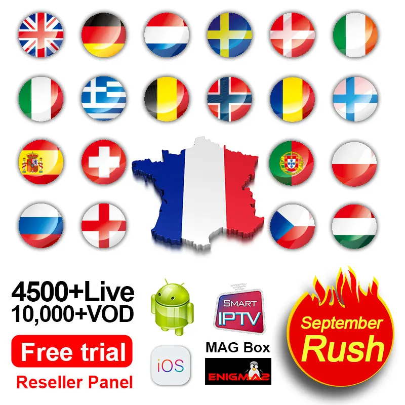 

X96 mini IPTV France Arabic QHDTV 1 Year Code Android IPTV subscription X96mini IPTV Belgium Spain Algeria French IP TV Arabic