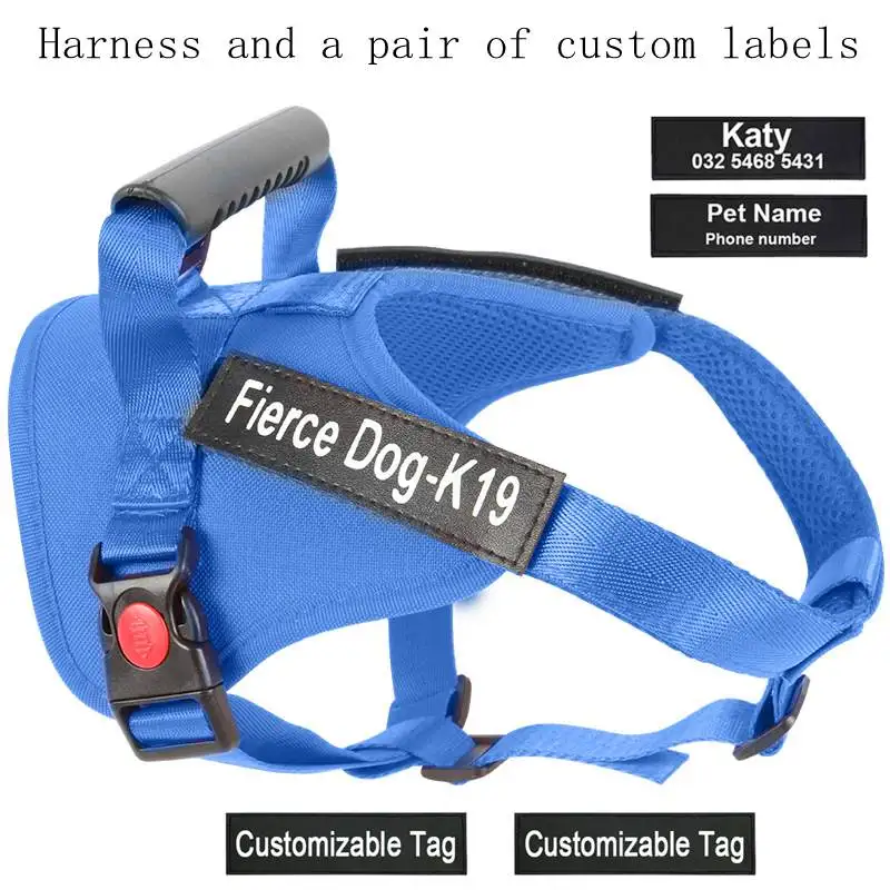 14376120207_1937179884